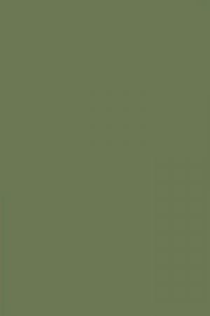 FARROW AND BALL CALKE GREEN NO. 34 PAINT